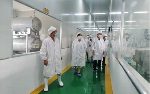省工业和信息化厅食品处赴惠水县开展食品企业调研